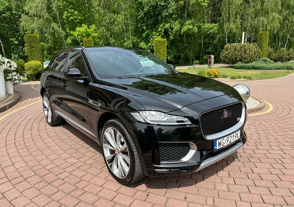 Jaguar F-Pace cena 149900 przebieg: 55000, rok produkcji 2016 z Górzno małe 781